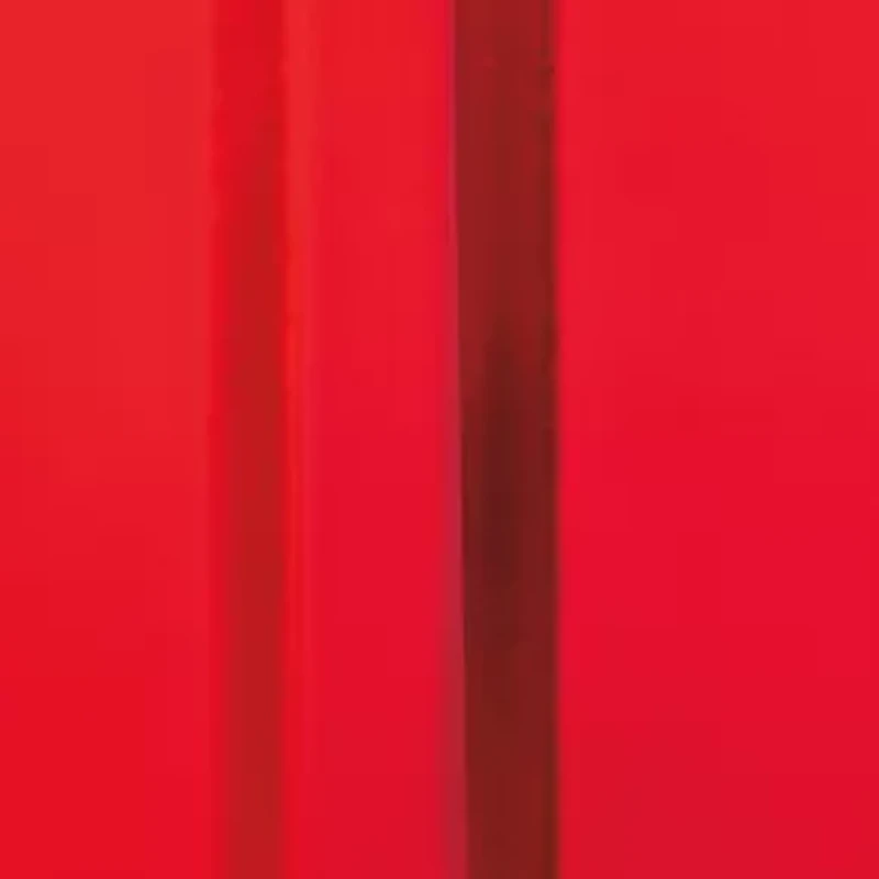 Red Door Eau de Parfum