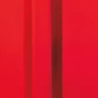 Red Door Eau de Parfum