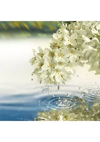 Paradise Moon Eau de Parfum Spray