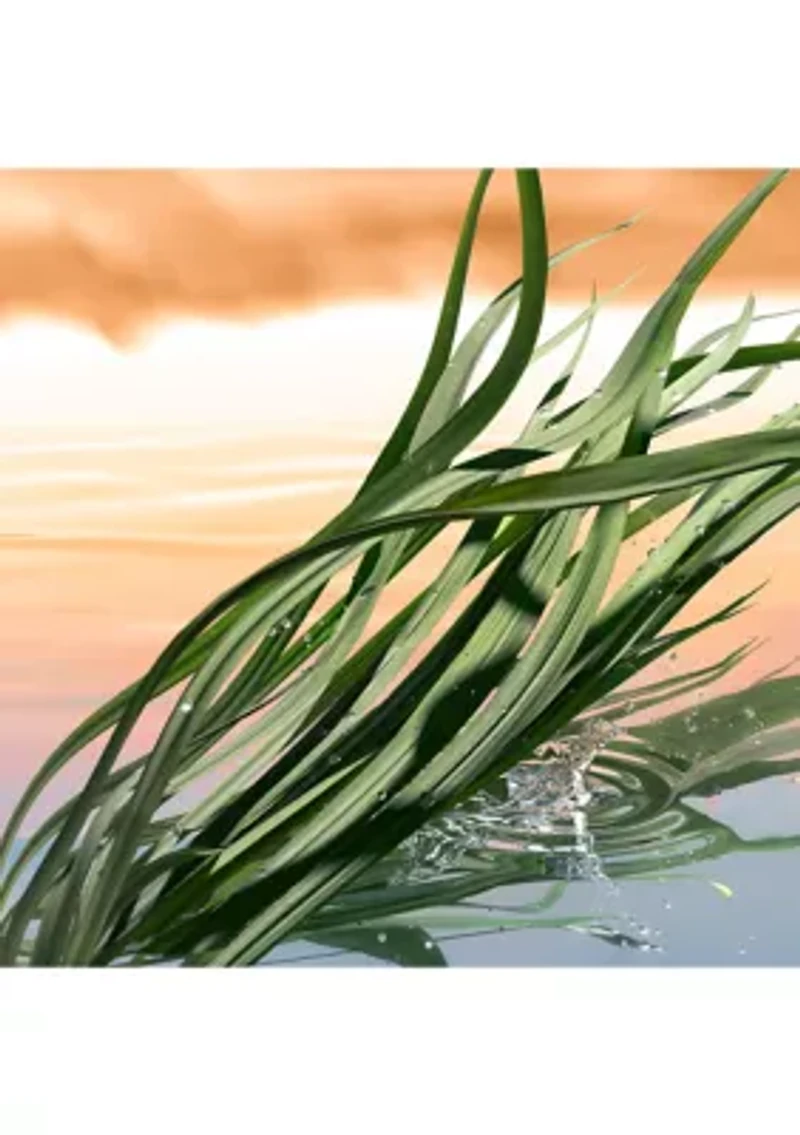 Blushing Sands Eau de Parfum Spray