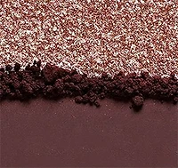 The Essential Eyeshadow Quad