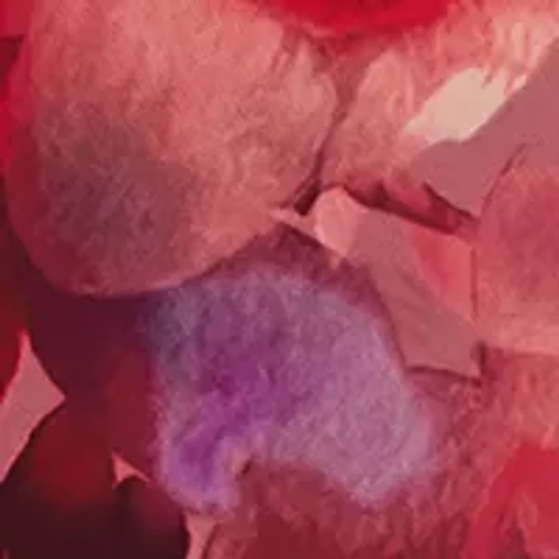   AERIN Rose de Grasse Joyful Bloom Gift Set - $275 Value! 