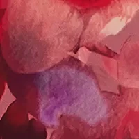   AERIN Rose de Grasse Joyful Bloom Gift Set - $275 Value! 