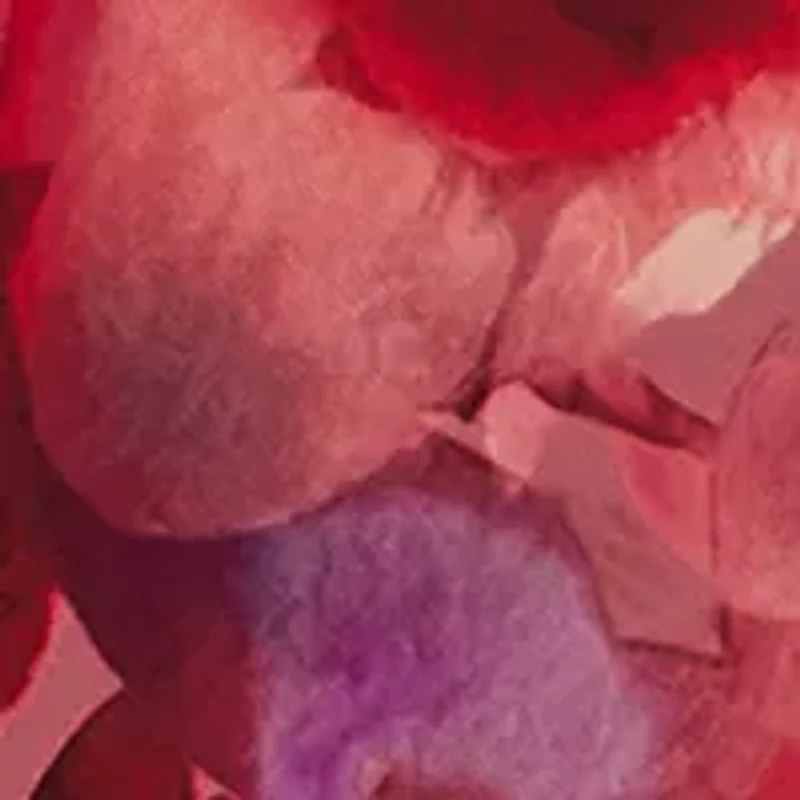 AERIN Rose de Grasse Gift Set - $340 Value!