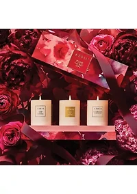   AERIN Votive Candle Trio Gift Set 