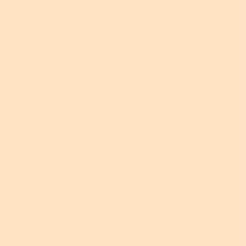 Double Wear Stay-in-Place Matte Powder Foundation