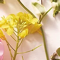 AERIN Best Sellers Fragrance Discovery Set 