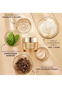 Advanced Night Repair Skincare Gift Set