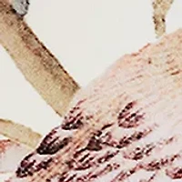 AERIN 5 Piece Best Sellers Fragrance Discovery Set