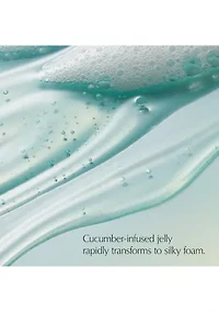 DayWear Glow Boost Jelly Cleanser