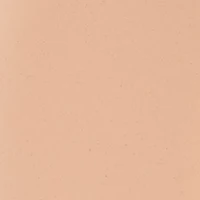 Re-Nutriv Ultra Radiance Liquid Foundation SPF 20