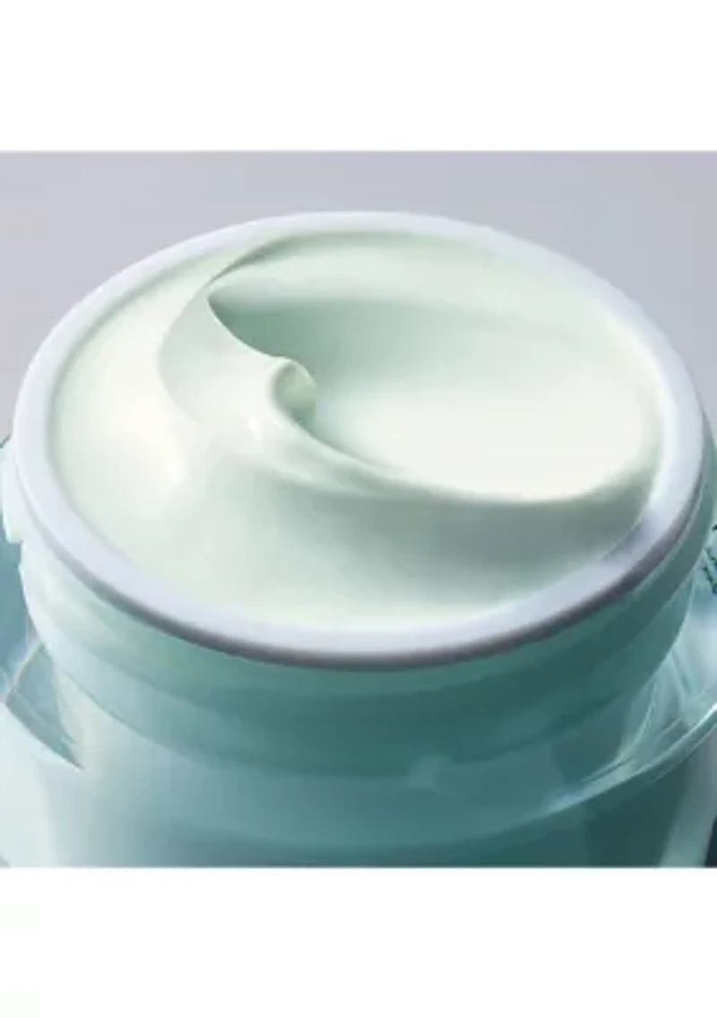 DayWear Multi-Protection Antioxidant 24H-Moisture Crème Moisturizer SPF 15 for Normal/Combo Skin