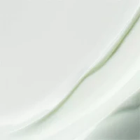 DayWear Multi-Protection Antioxidant 24-Hour Moisture Crème Moisturizer SPF 15 for Dry Skin