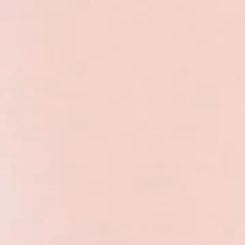 AERIN Rose Lip Conditioner Beauty Essential
