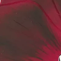 Amore Intenso Eau de Parfum Spray