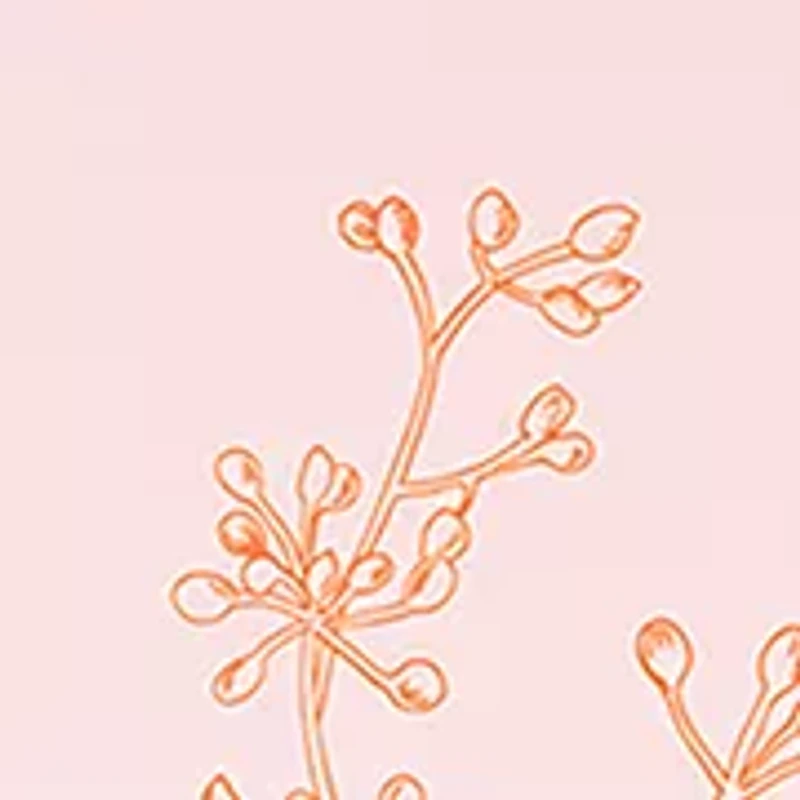 Bella Eau De Parfum Fragrance 3-Piece Gift Set - $167 Value!