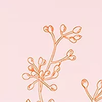 Bella Eau De Parfum Fragrance 3-Piece Gift Set - $167 Value!