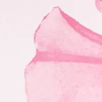 Wonderbloom Bliss Eau de Parfum