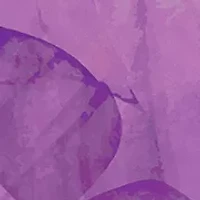 3 Piece Wonderbloom Haze Set - $177 Value!