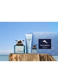 Maritime Journey 4 Piece Set