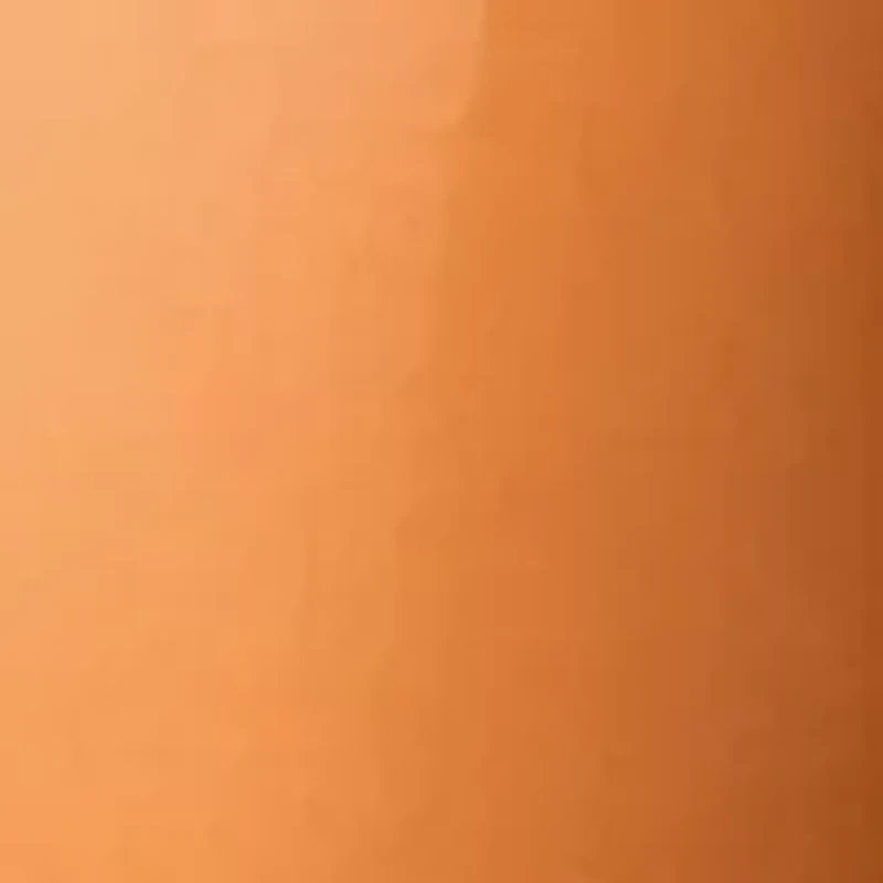 Self Tanning Face & Body Tinted Gel