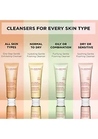 Soothing Gentle Foaming Face Cleanser with Shea Butter