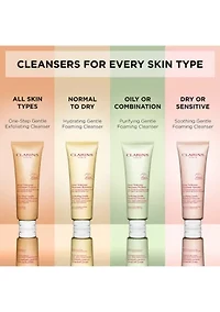Hydrating Gentle Foaming Face Cleanser with Aloe Vera
