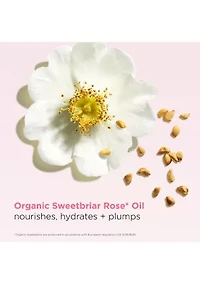 Hydrating Peptide & Plumping Lip Oil Balm