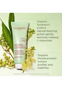 Purifying Gentle Foaming Face Cleanser
