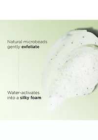 Purifying Gentle Foaming Face Cleanser