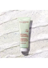 Purifying Gentle Foaming Face Cleanser