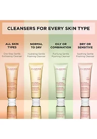 Purifying Gentle Foaming Face Cleanser