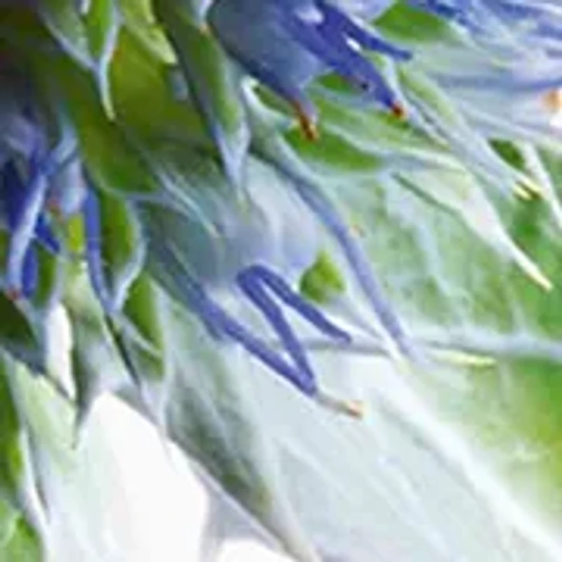 Multi-Active Skincare Starter Set for Lines, Pores, Glow