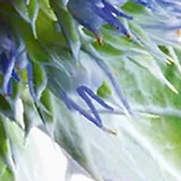 Multi-Active Skincare Starter Set for Lines, Pores, Glow