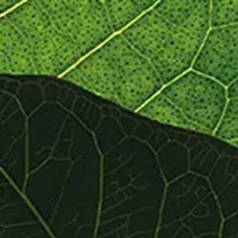 Super Restorative Anti-Aging Skincare Starter Set