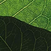 Super Restorative Anti-Aging Skincare Starter Set