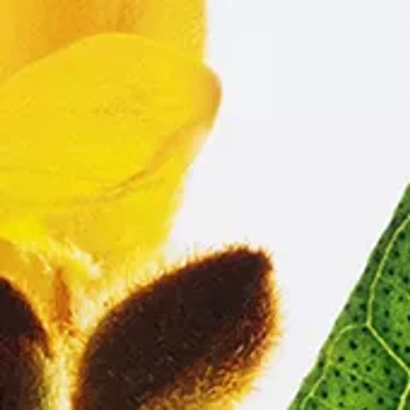 Super Restorative Day & Night Set