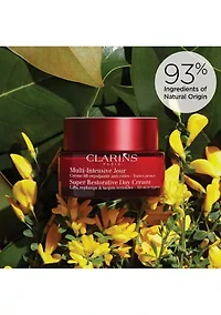 Super Restorative Day & Night Set