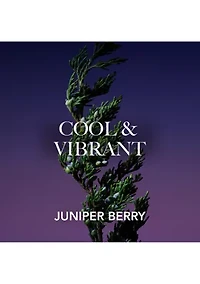 Intuition Intense Eau de Parfum Spray