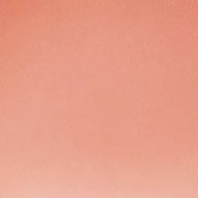 Pro Longwear Paint Pot