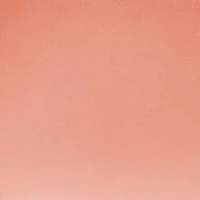 Pro Longwear Paint Pot