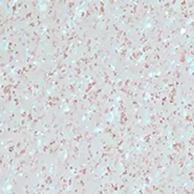 Skinfinish Lightstruck Liquid Highlighter