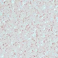 Skinfinish Lightstruck Liquid Highlighter