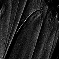 Mascara & Gel Eyeliner Pencil Gift Set