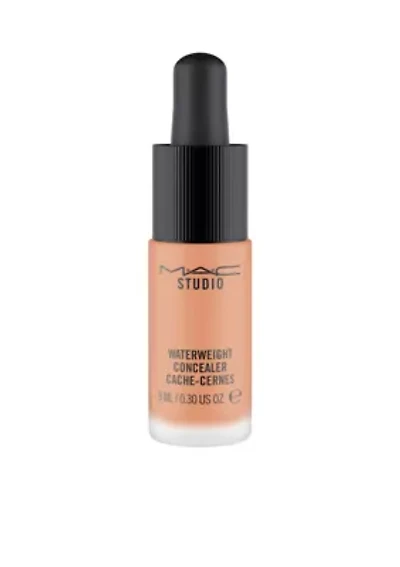 Studio Waterweight Concealer
