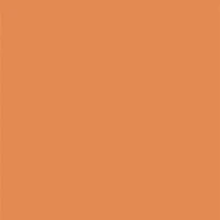 Studio Radiance 24Hr Luminous Lift Concealer Mini