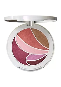 Metamorphosis Face and Eye Palette