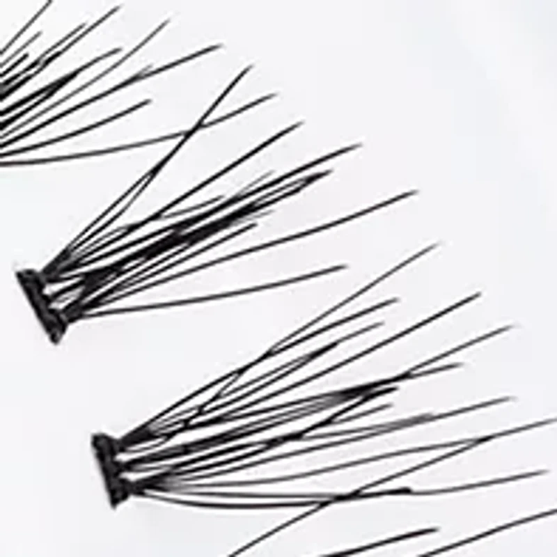  81 Charmer Lash 