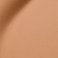 Studio Radiance Serum-Powered™ Foundation