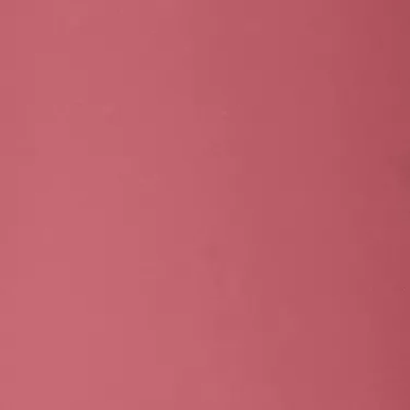 Crushed Oil-Infused Tinted Lip Gloss